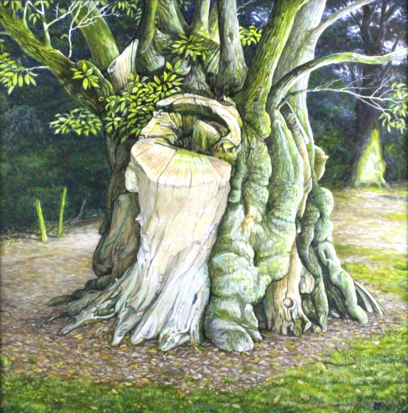 The Ancient Chestnut In Stocklinch